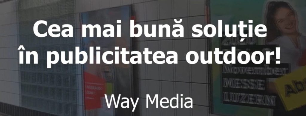 Antoanela Vasilescu și Way Advertise Production – rețea de steaguri publicitare ilegale fără avize PMB